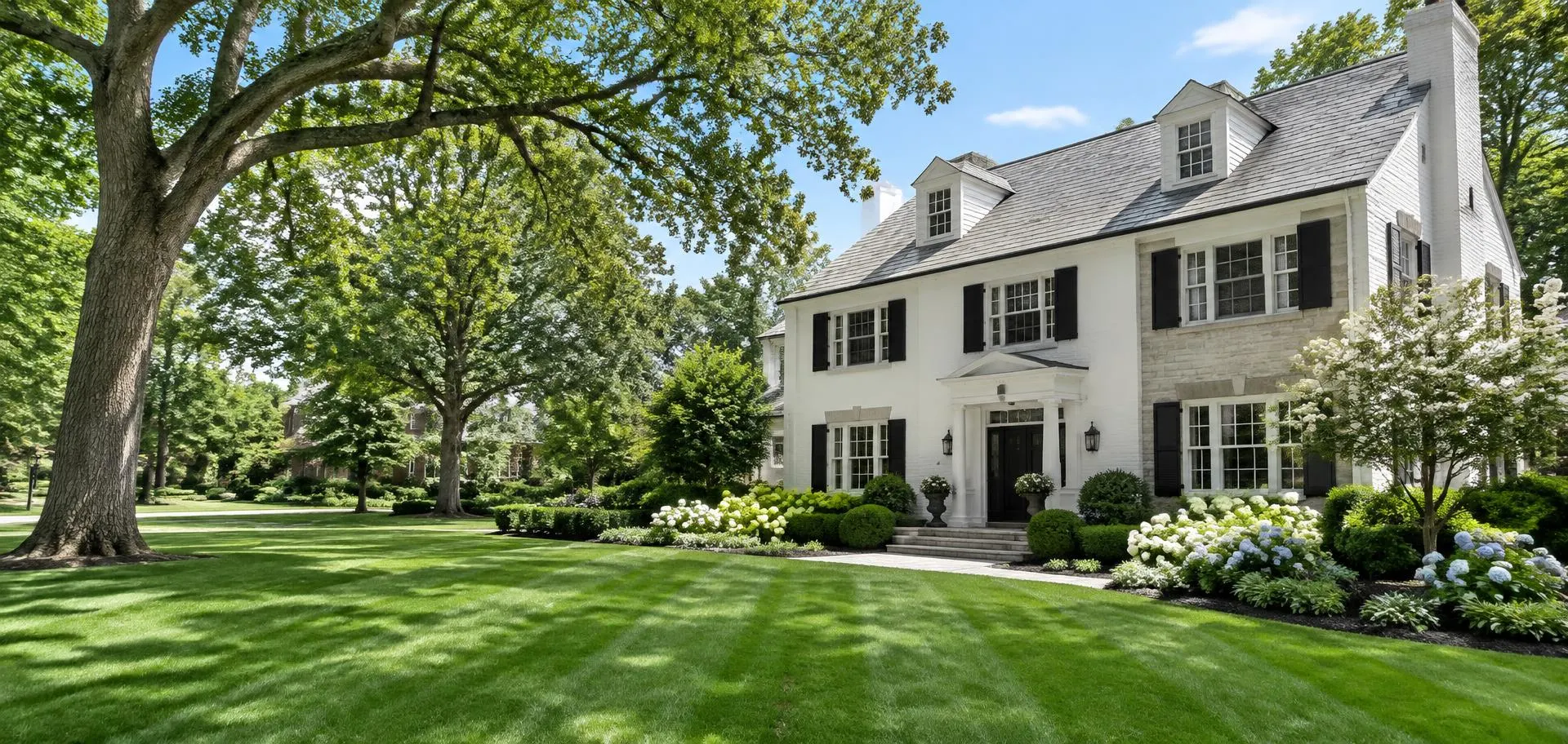 White brick and stone colonial home with black shutters, a thick striped front lawn, hydrangeas and a mature oak tree in Millburn, NJ