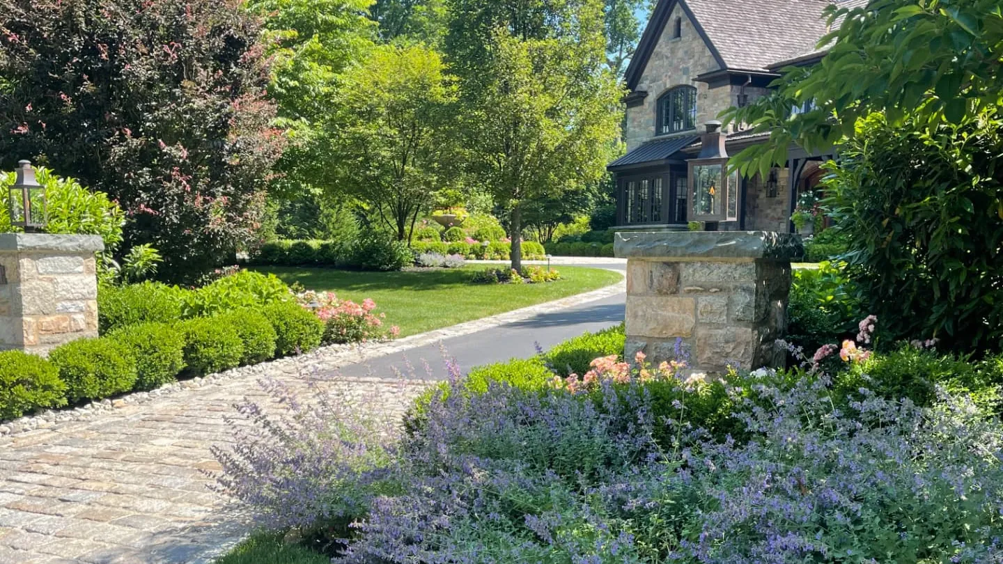 Stone manor home with a cobblestone driveway, catmint borders, boxwoods and a thick green lawn with a GreenStripe mosquito sign in Summit, NJ