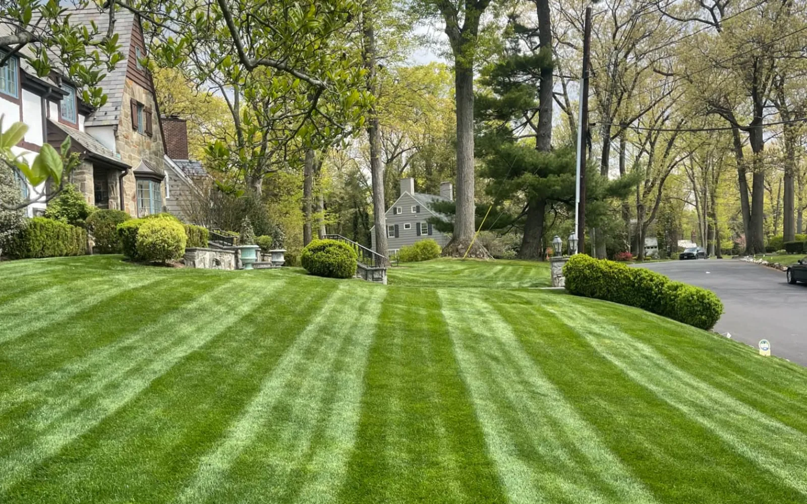 Striped, healthy front lawn framed by mature trees at a Westfield, NJ home