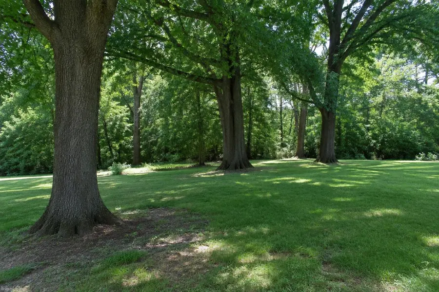 Lawn beneath towering mature trees with deep shade and thin grass near the trunks in Mountainside, NJ