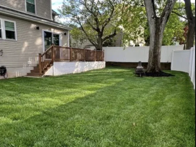 After — the same Union backyard with thick green lawn beneath the mature tree one year later