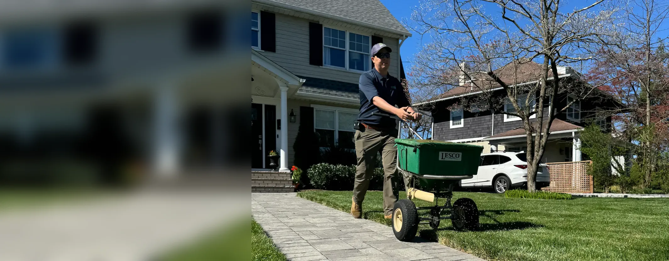 GreenStripe lawn technician pushing a broadcast spreader to apply spring pre-emergent along a paver walkway on a front lawn in Westfield, NJ