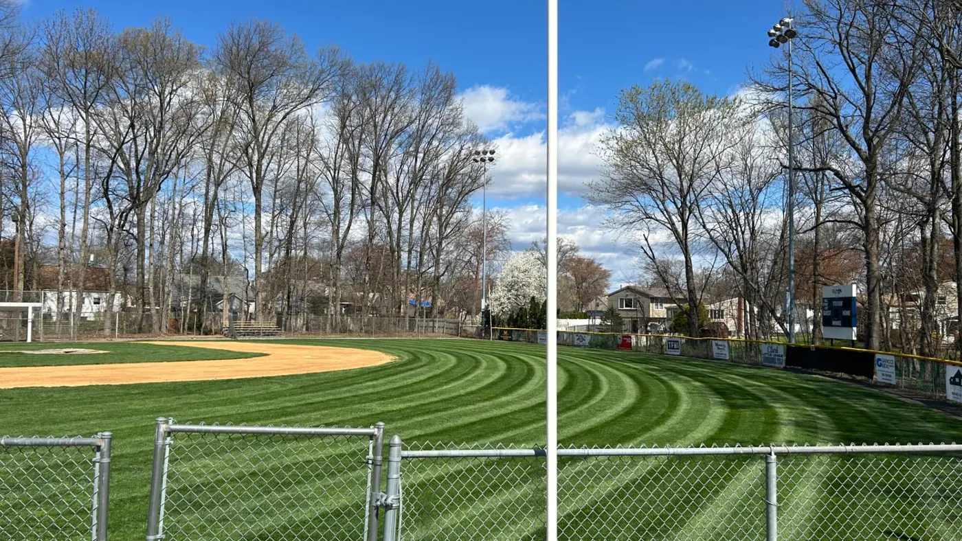 Thick, striped green outfield turf behind the fence at the Clark Little League baseball field in Clark, NJ