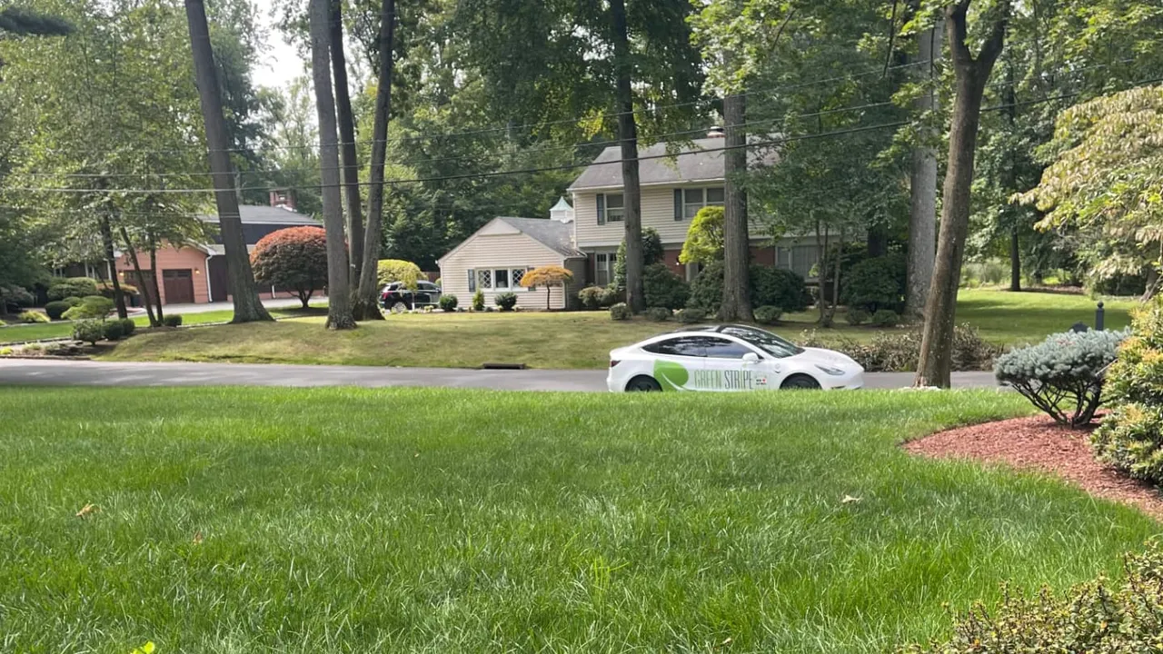 GreenStripe service vehicle parked on a tree-lined residential street beside a healthy lawn in Scotch Plains, NJ