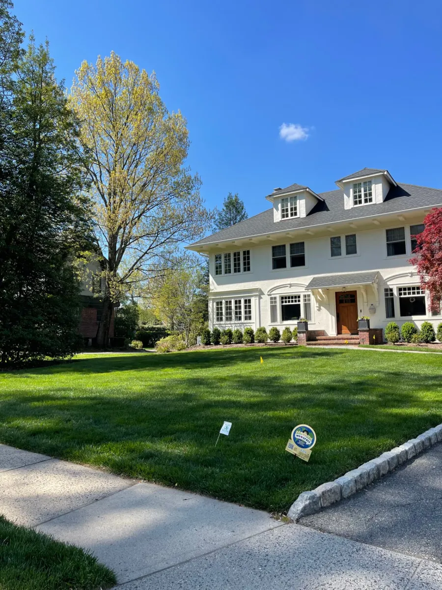 Dense, deep green spring front lawn with a GreenStripe yard sign in front of a white stucco colonial home with dormers and a Japanese maple on Woodland Avenue in Summit, NJ, on the GreenStripe Superintendent Lawn Program