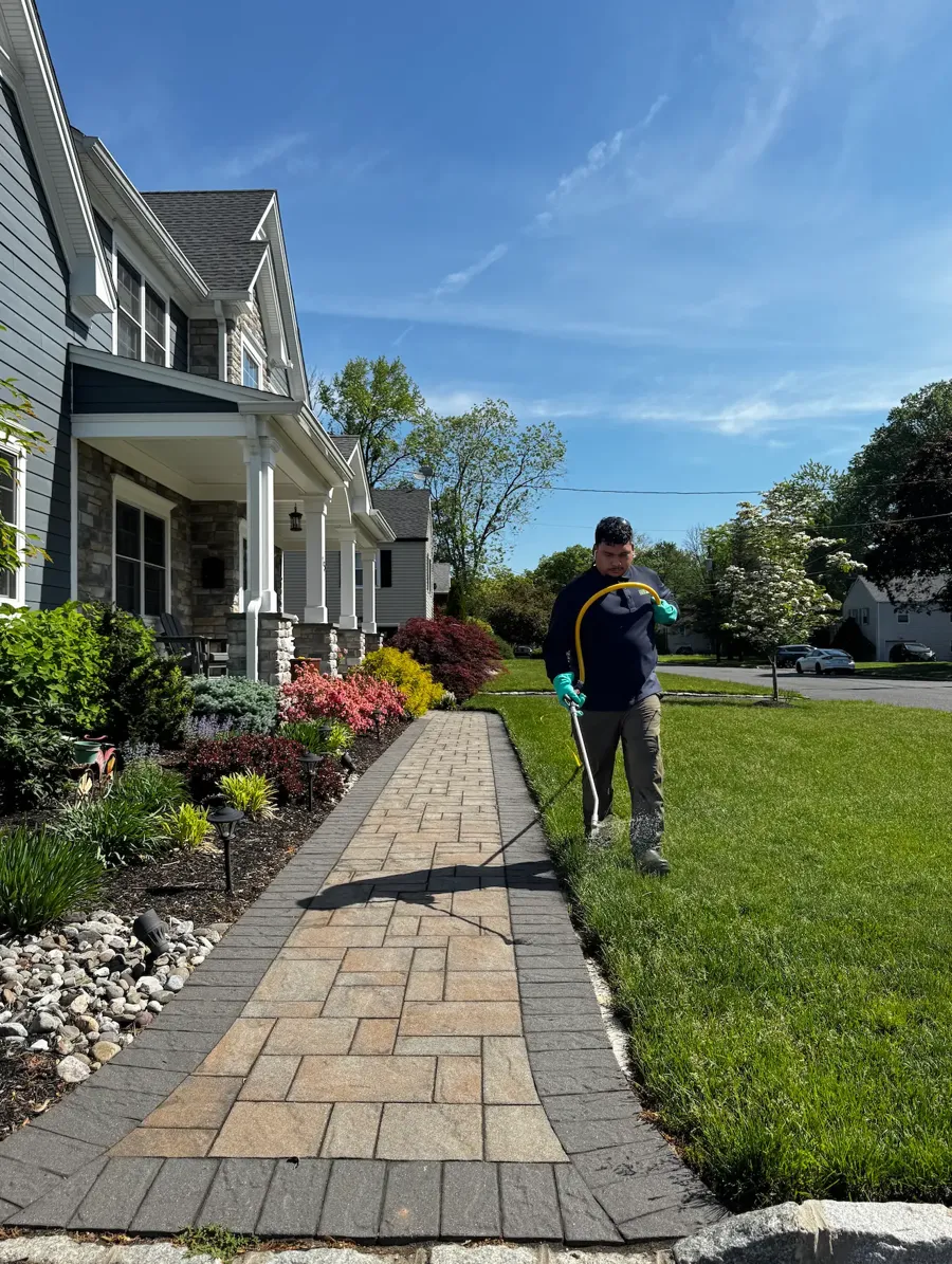 GreenStripe technician treating a front lawn beside a paver walkway and landscape beds in New Jersey