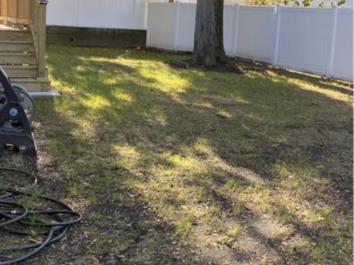 Before — Union backyard of mostly bare dirt under a mature tree