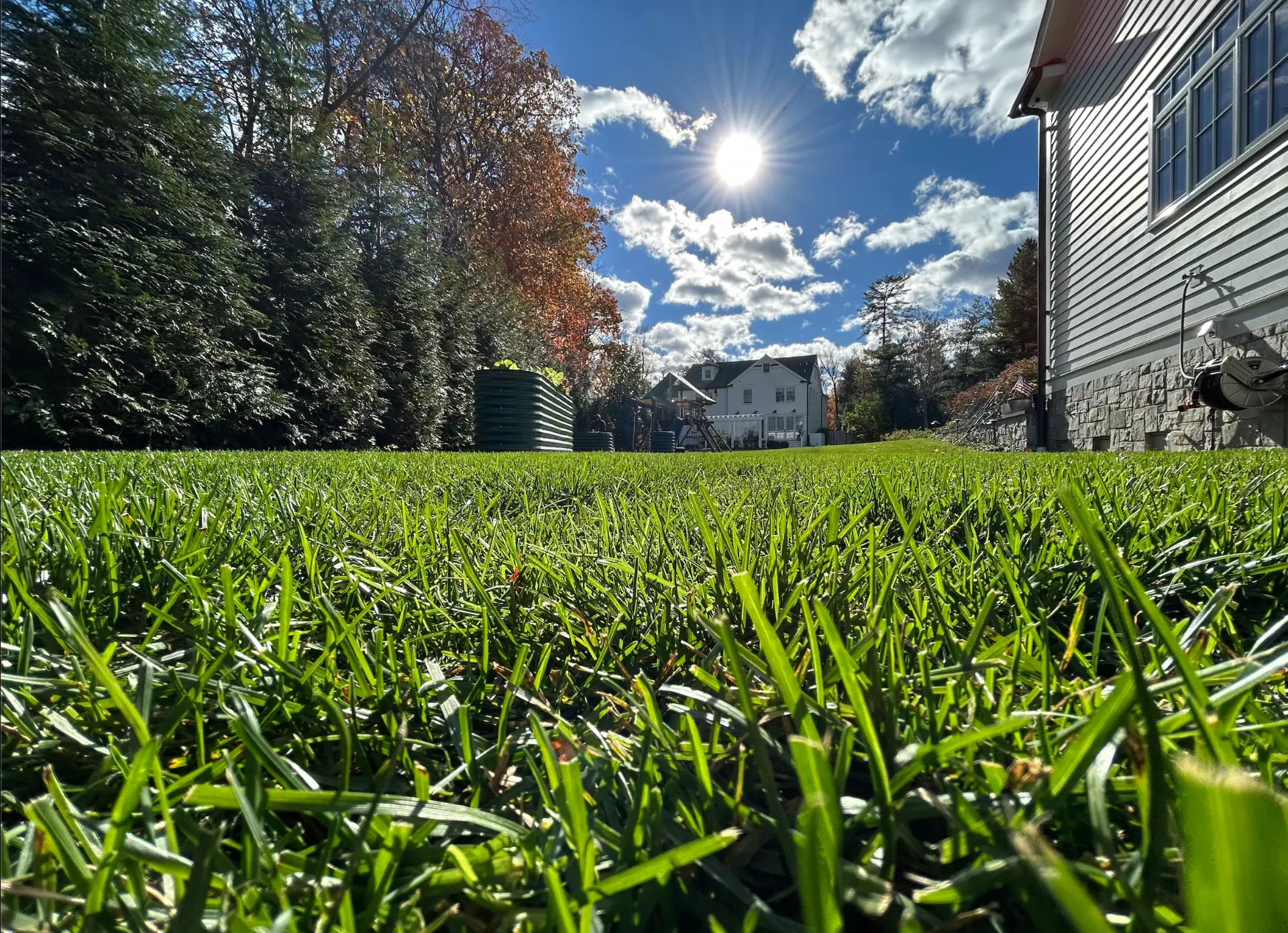 Thick green backyard lawn beside a New Jersey home on a sunny autumn day