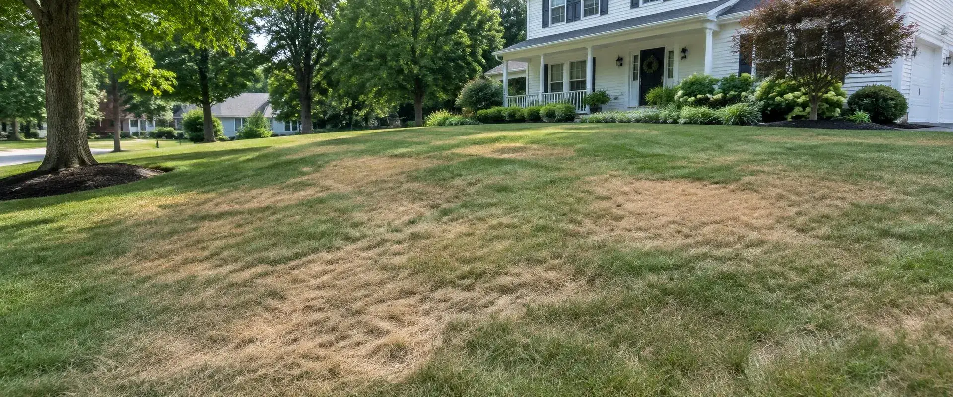 Suburban Northern New Jersey front lawn with irregular brown, drought-stressed patches among green cool-season turf in front of a white colonial home