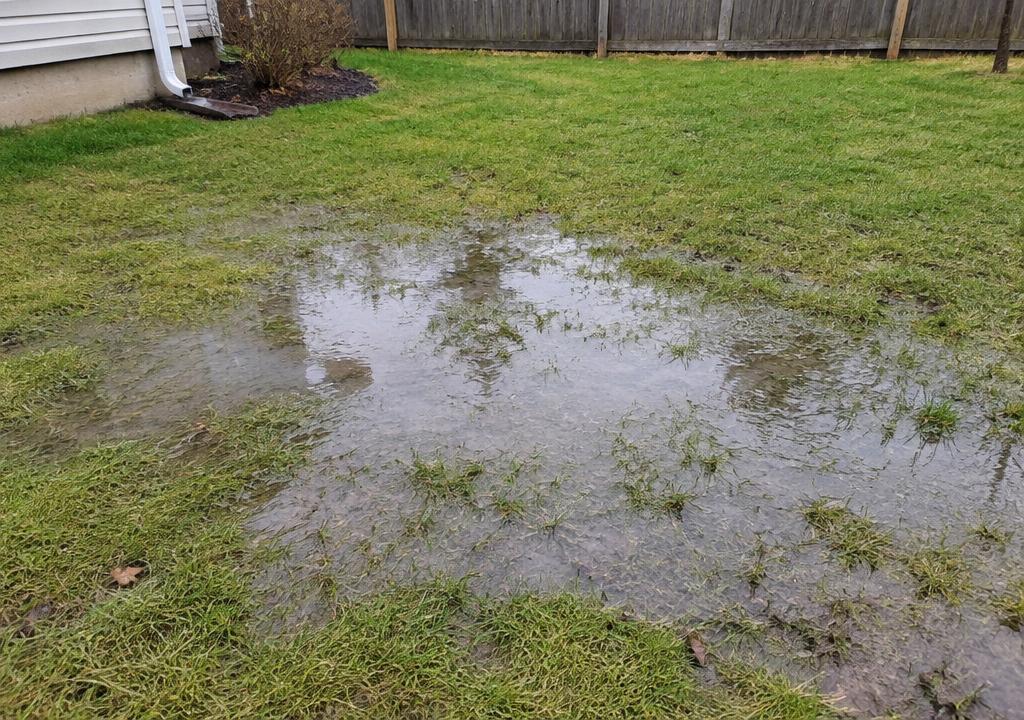 Standing water in a low, compacted area of a backyard lawn after rain