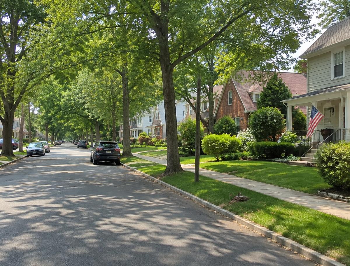 Tree-lined residential street with varied single-family homes and small front lawns in Kenilworth, NJ