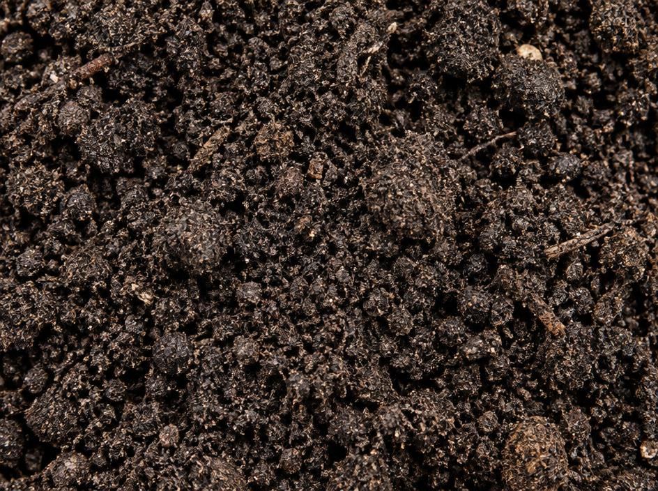 Closeup of dark crumbly garden soil