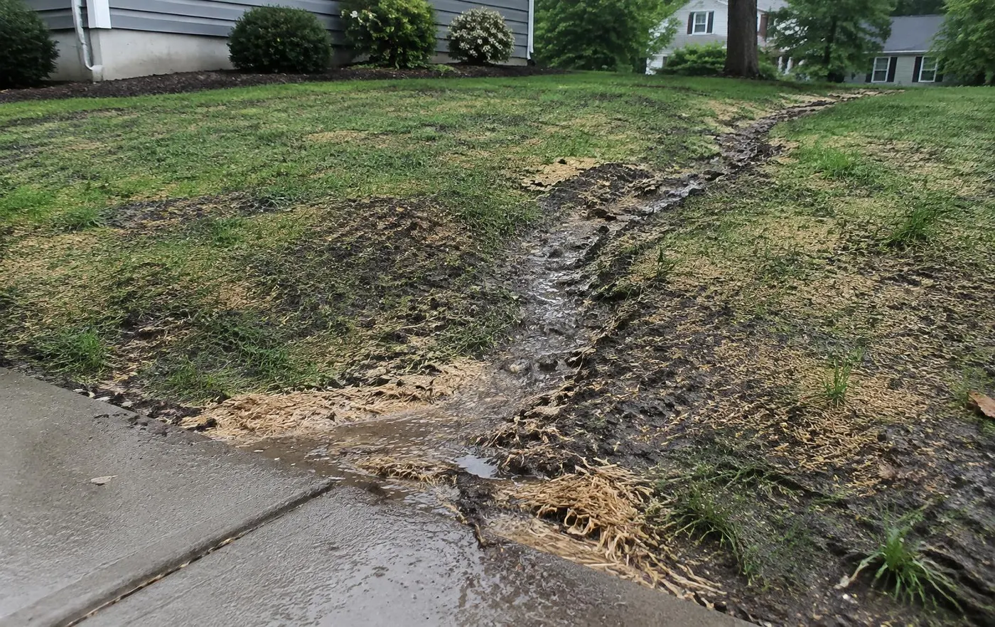 Newly seeded lawn slope after heavy rain with a shallow erosion channel and washed grass seed collected along the edge of a concrete walkway