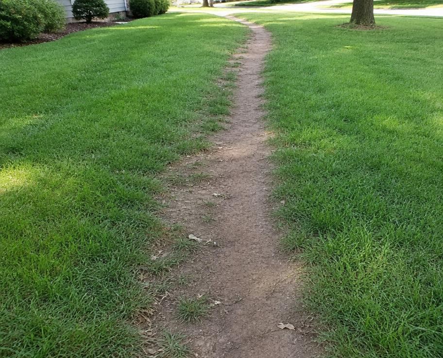 Worn lawn path created by heavy foot traffic