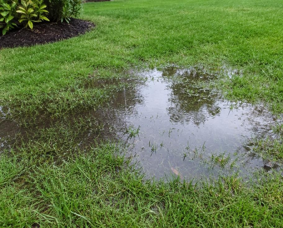 Water pooling on a lawn with poor drainage after rain