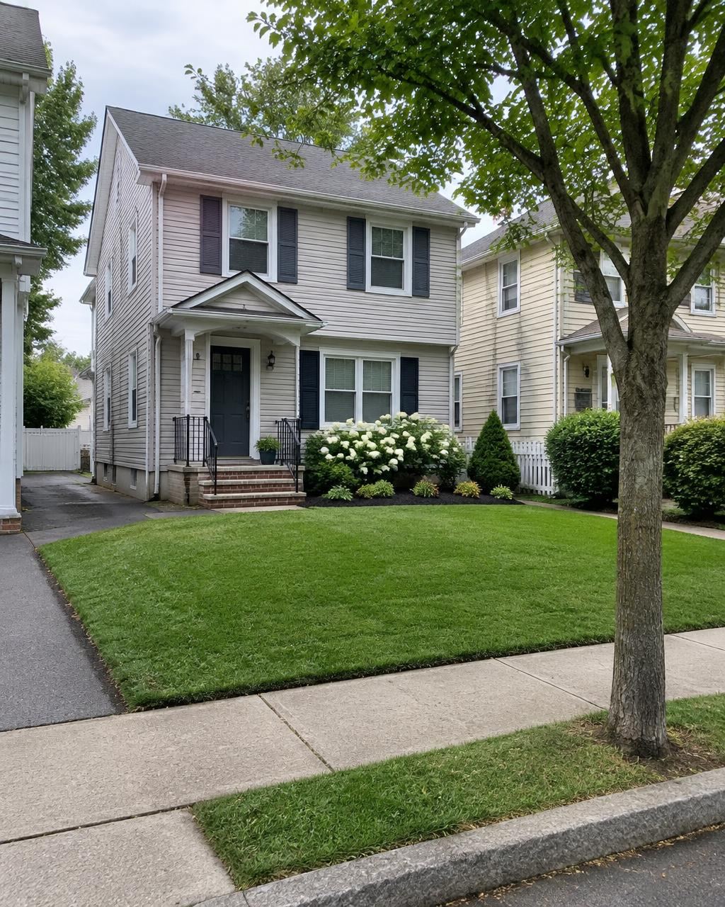 Small, healthy front lawn with hydrangea beds at a two-story home on a residential street in Garwood, NJ
