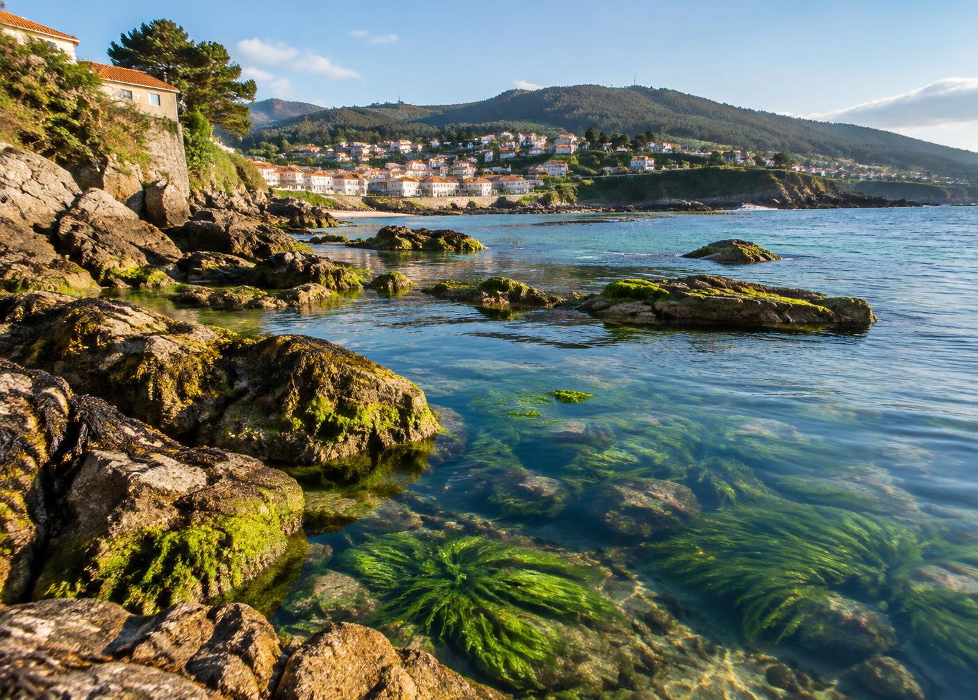 Rocky Spanish coastline with green algae beds in clear shallow water
