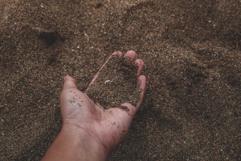 Organic Soil: Building Soil Health